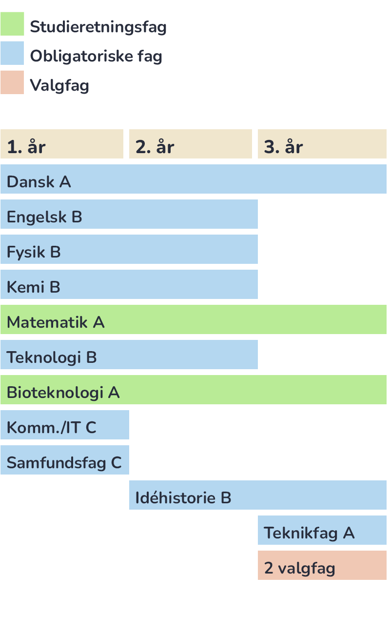 Grafik der viser hvilke fag man har på studieretningen Bioteknologi på Pulsen Gymnasium
