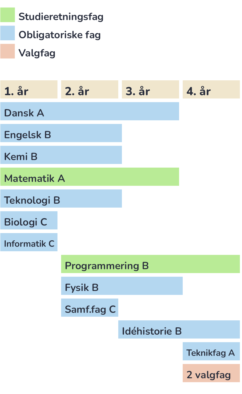 Grafik der viser hvilke fag man har på studieretningen HTX+ på Pulsen Gymnasium
