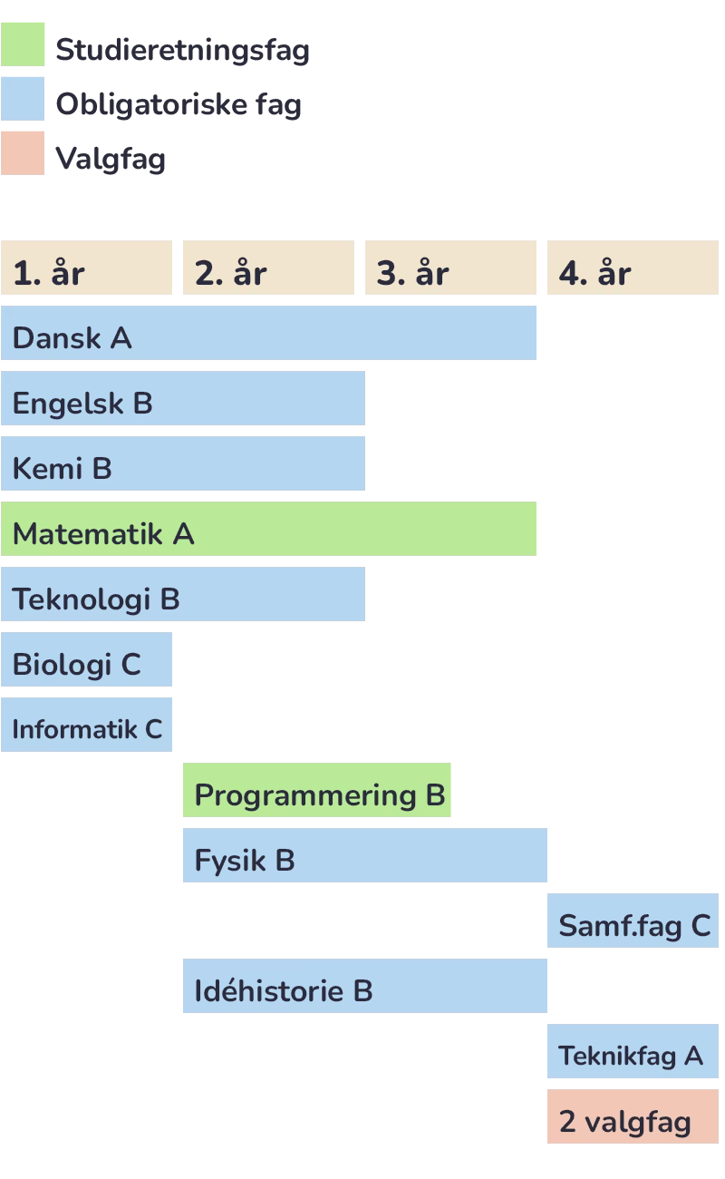 Grafik der viser hvilke fag man har på studieretningen HTX+ på Pulsen Gymnasium