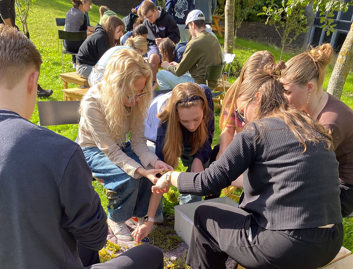 Fra hjemmedyrket druer til vin